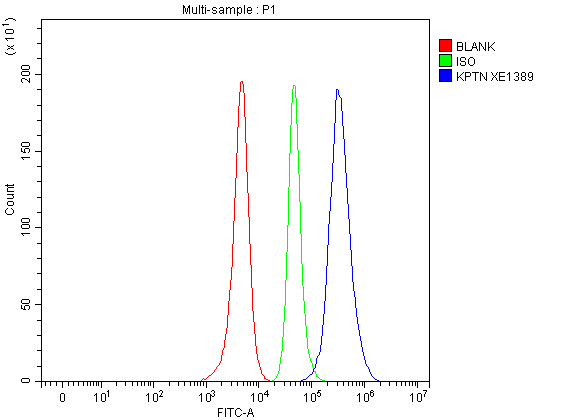 a12065 1 kptn primary antibodies fcm testing 1