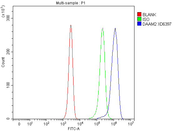 a12080 1 daam2 primary antibodies fcm testing 1