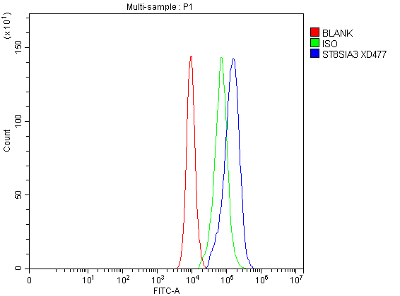 Flow Cytometry analysis of CACO-2 cells using anti-ST8SIA3 antibody (A12096)