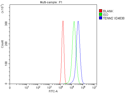 a12135 tenm2 primary antibodies fcm testing 1