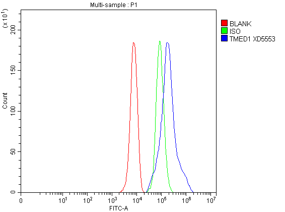 a12148 1 tmed1 primary antibodies fcm testing 1