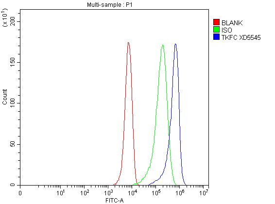 a12154 2 tkfc primary antibodies fcm testing 1