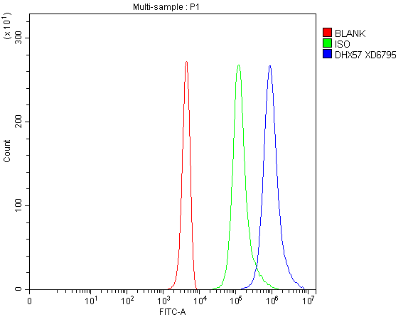 a12162 1 dhx57 primary antibodies fcm testing 1