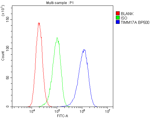 Flow Cytometry analysis of A431 cells using anti-TIMM17A antibody (A12168-1). Overlay histogram showing A431 cells stained with A12168-1 (Blue line).The cells were blocked with 10% normal goat serum. And then incubated with rabbit anti-TIMM17A Antibody (A12168-1,1μg/1x106 cells) for 30 min at 20°C. DyLight®488 conjugated goat anti-rabbit IgG (BA1127, 5-10μg/1x106 cells) was used as secondary antibody for 30 minutes at 20°C. Isotype control antibody (Green line) was rabbit IgG (1μg/1x106) used under the same conditions. Unlabelled sample (Red line) was also used as a control.