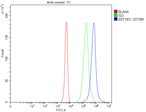a12172 2 eefsec primary antibodies fcm testing 1