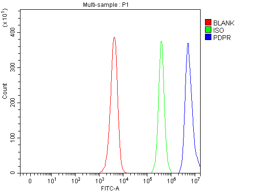 Figure 2. Flow Cytometry analysis of JK cells using anti-PDPR antibody (A12185). Overlay histogram showing JK cells stained with A12185 (Blue line). To facilitate intracellular staining, cells were fixed with 4% paraformaldehyde and permeabilized with permeabilization buffer. The cells were blocked with 10% normal goat serum. And then incubated with rabbit anti-PDPR Antibody (A12185, 1 microg/1x106 cells) for 30 min at 20°C. DyLight®488 conjugated goat anti-rabbit IgG (BA1127, 5-10 microg/1x106 cells) was used as secondary antibody for 30 minutes at 20°C. Isotype control antibody (Green line) was rabbit IgG (1 microg/1x106) used under the same conditions. Unlabelled sample (Red line) was also used as a control.