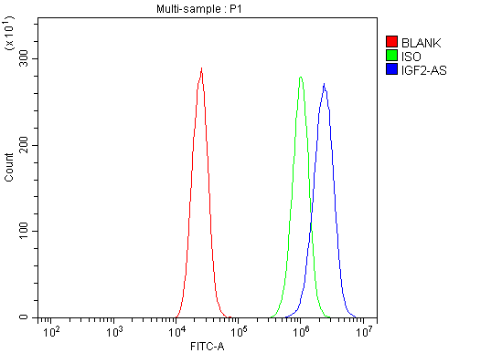 a12191 igf2 as primary antibodies fcm testing 3