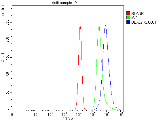 a12204 3 ddx52 primary antibodies fcm testing 1