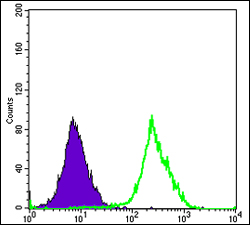 a12417 fuk primary antibodies fcm testing 1