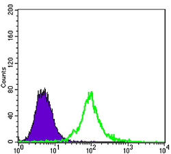 a12505 klhl13 primary antibodies fcm testing 1