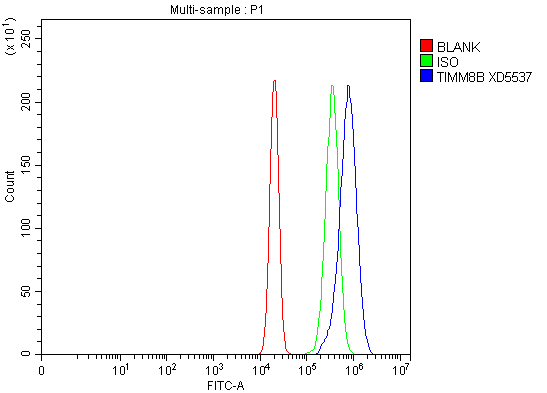 Flow Cytometry analysis of RT4 cells using anti-TIMM8B antibody (A12570-1)