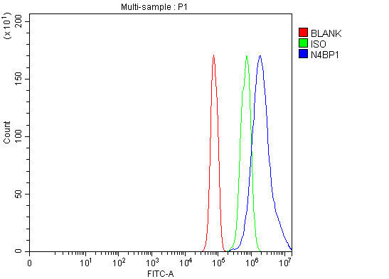 Figure 3. Flow Cytometry analysis of JK cells using anti-N4BP1 antibody (A12575-3). Overlay histogram showing JK cells stained with A12575-3 (Blue line). To facilitate intracellular staining, cells were fixed with 4% paraformaldehyde and permeabilized with permeabilization buffer. The cells were blocked with 10% normal goat serum. And then incubated with rabbit anti-N4BP1 Antibody (A12575-3, 1 microg/1x106 cells) for 30 min at 20°C. DyLight®488 conjugated goat anti-rabbit IgG (BA1127, 5-10 microg/1x106 cells) was used as secondary antibody for 30 minutes at 20°C. Isotype control antibody (Green line) was rabbit IgG (1 microg/1x106) used under the same conditions. Unlabelled sample (Red line) was also used as a control.
