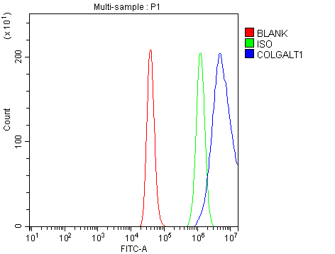Figure 2. Flow Cytometry analysis of HEL cells using anti-GLT25D1/COLGALT1 antibody (A12583-1). Overlay histogram showing HEL cells stained with A12583-1 (Blue line). To facilitate intracellular staining, cells were fixed with 4% paraformaldehyde and permeabilized with permeabilization buffer. The cells were blocked with 10% normal goat serum. And then incubated with rabbit anti-GLT25D1/COLGALT1 Antibody (A12583-1, 1 microg/1x106 cells) for 30 min at 20°C. DyLight®488 conjugated goat anti-rabbit IgG (BA1127, 5-10 microg/1x106 cells) was used as secondary antibody for 30 minutes at 20°C. Isotype control antibody (Green line) was rabbit IgG (1 microg/1x106) used under the same conditions. Unlabelled sample (Red line) was also used as a control.