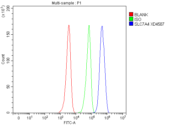 a12638 3 slc7a4 primary antibodies fcm testing 1