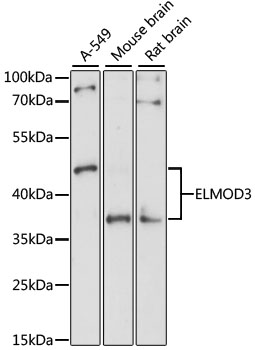 a12704 elmod3 primary antiboties wb testing 1