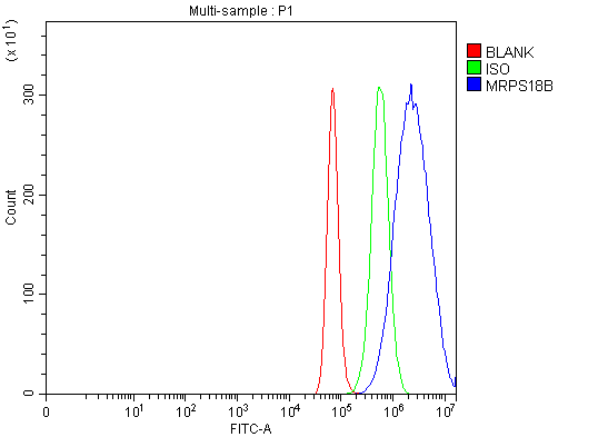 Figure 5. Flow Cytometry analysis of Hela cells using anti-MRPS18B antibody (A12773-1). Overlay histogram showing Hela cells stained with A12773-1 (Blue line). To facilitate intracellular staining, cells were fixed with 4% paraformaldehyde and permeabilized with permeabilization buffer. The cells were blocked with 10% normal goat serum. And then incubated with rabbit anti-MRPS18B Antibody (A12773-1, 1 microg/1x106 cells) for 30 min at 20°C. DyLight®488 conjugated goat anti-rabbit IgG (BA1127, 5-10 microg/1x106 cells) was used as secondary antibody for 30 minutes at 20°C. Isotype control antibody (Green line) was rabbit IgG (1 microg/1x106) used under the same conditions. Unlabelled sample without incubation with primary antibody and secondary antibody (Red line) was used as a blank control.