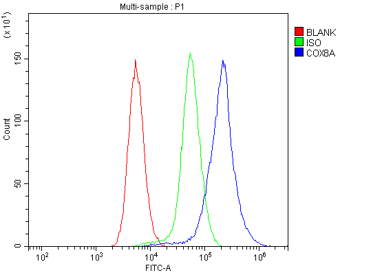  Flow Cytometry analysis of mouse spleen tissues using anti-COX8A antibody (A12782-12)