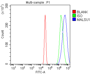 a12786 malsu1 primary antibodies fcm testing 12