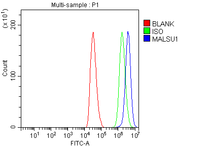 a12786 malsu1 primary antibodies fcm testing 13