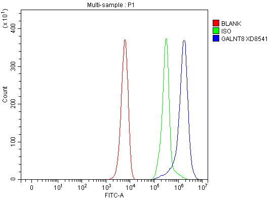 a12824 galnt8 primary antibodies fcm testing 1