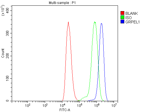 a12830 1 grpel1 primary antibodies fcm testing 11