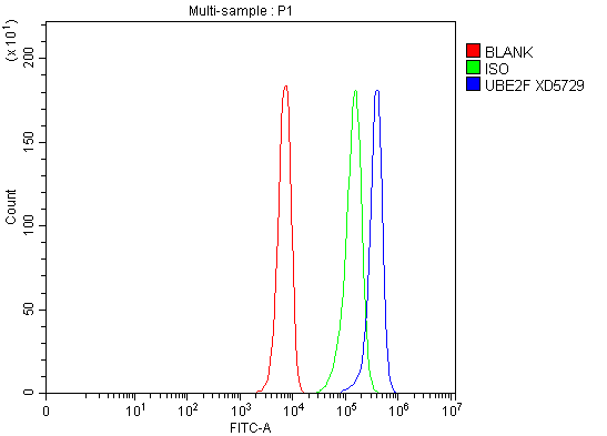 a12847 1 ube2f primary antibodies fcm testing 1