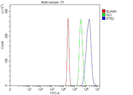 a12872 1 ift52 primary antibodies fcm testing 7