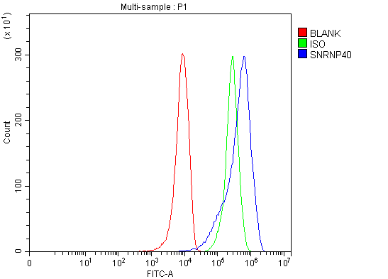 a12991 2 snrnp40 primary antibodies fcm testing 20