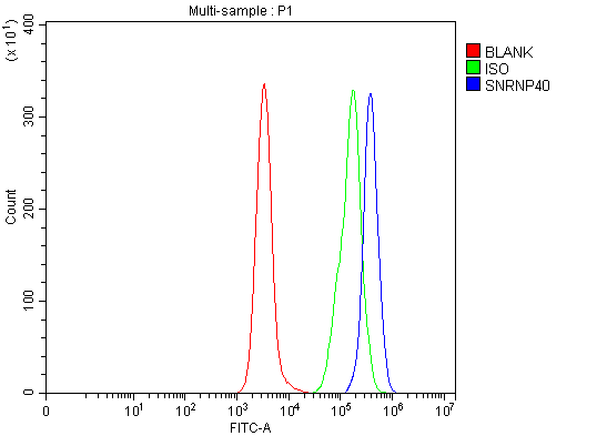 a12991 2 snrnp40 primary antibodies fcm testing 21