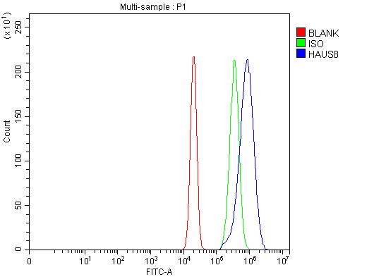 a12994 2 haus8 primary antibodies fcm testing 1