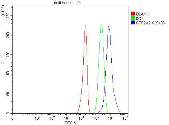 Flow Cytometry analysis of U251 cells using anti-GTF2A2 antibody (A13029-1)