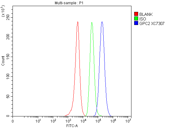 Flow Cytometry analysis of SH-SY5Y cells using anti-GPC2 antibody (A13075-2)