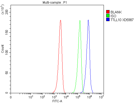 a13080 1 ttll10 primary antibodies fcm testing 1