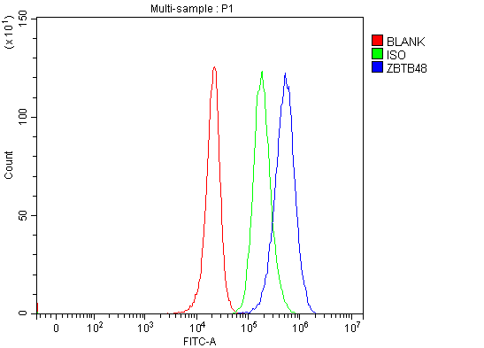 a13220 2 zbtb48 primary antibodies fcm testing 2
