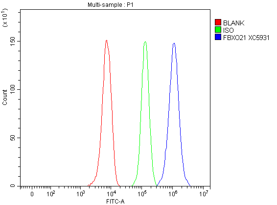 a13227 1 fbxo21 primary antibodies fcm testing 1
