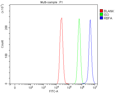 Figure 9. Flow Cytometry analysis of MCF-7 cells using anti-C18orf22/RBFA antibody (A13257-1). Overlay histogram showing MCF-7 cells stained with A13257-1 (Blue line). To facilitate intracellular staining, cells were fixed with 4% paraformaldehyde and permeabilized with permeabilization buffer. The cells were blocked with 10% normal goat serum. And then incubated with rabbit anti-C18orf22/RBFA Antibody (A13257-1, 1 microg/1x106 cells) for 30 min at 20°C. DyLight®488 conjugated goat anti-rabbit IgG (BA1127, 5-10 microg/1x106 cells) was used as secondary antibody for 30 minutes at 20°C. Isotype control antibody (Green line) was rabbit IgG (1 microg/1x106) used under the same conditions. Unlabelled sample without incubation with primary antibody and secondary antibody (Red line) was used as a blank control.