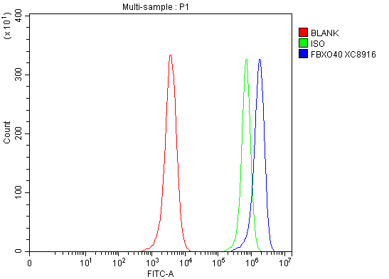 a13273 1 fbxo40 primary antibodies fcm testing 1