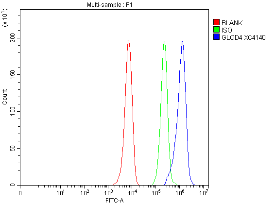  Flow Cytometry analysis of HepG2 cells using anti-GLOD4 antibody (A13315-1)