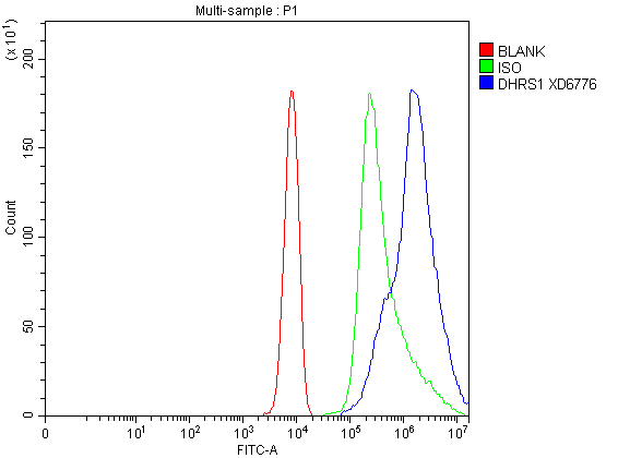 a13366 1 dhrs1 primary antibodies fcm testing 1