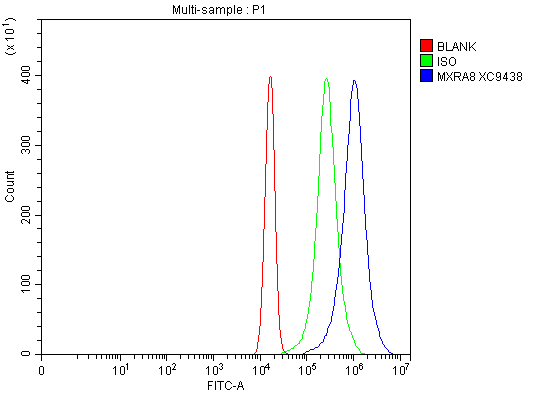 a13392 2 mxra8 primary antibodies fcm testing 1