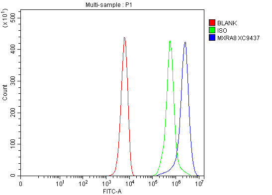 a13392 2 mxra8 primary antibodies fcm testing 2