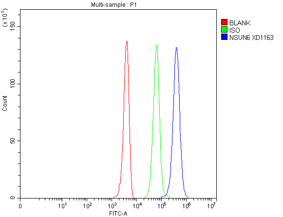  Flow Cytometry analysis of 293T cells using anti-NSUN6 antibody (A13404-3)