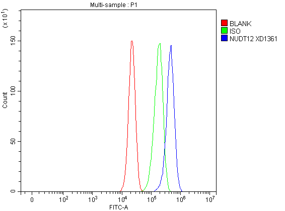  Flow Cytometry analysis of A549 cells using anti-NUDT12 antibody (A13426-1)