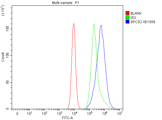 a13430 1 spcs2 primary antibodies fcm testing 1