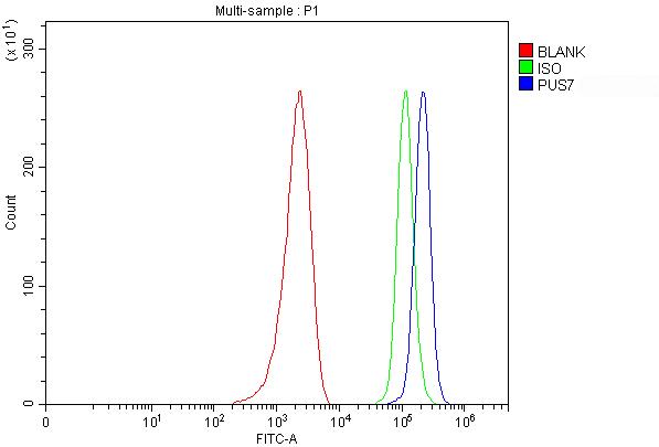 a13434 1 pus7 primary antibodies fcm testing 1