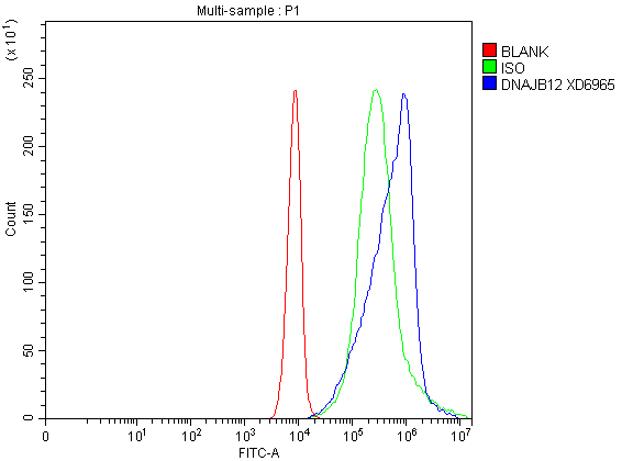 a13448 1 dnajb12 primary antibodies fcm testing 1