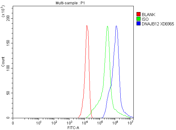 a13448 1 dnajb12 primary antibodies fcm testing 2
