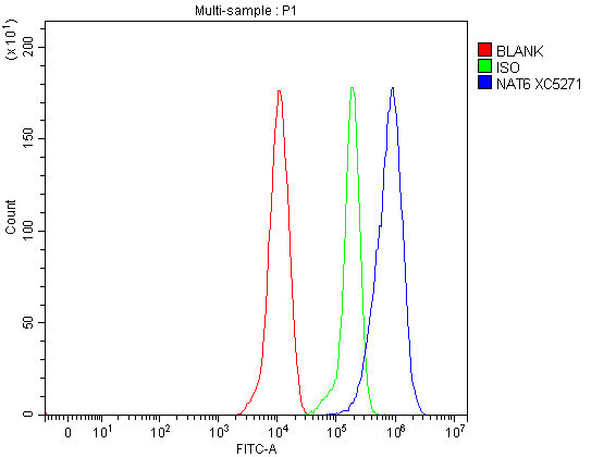  Flow Cytometry analysis of THP-1 cells using anti-NAT6/FUS2/NAA80 antibody (A13474-1)