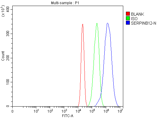  Flow Cytometry analysis of RT4 cells using anti-SERPINB12 antibody (A13578-2)