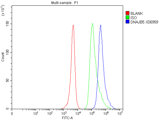 a13716 1 dnajb5 primary antibodies fcm testing 1